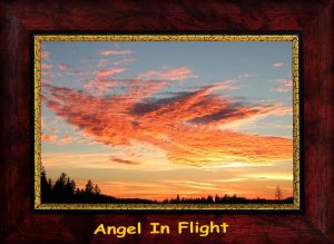 Angel In Flight